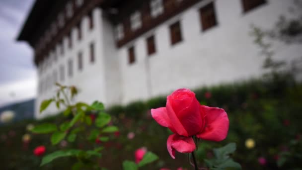 Tempel en religieuze gebedsvlaggen in de vallei, Bhutan — Stockvideo