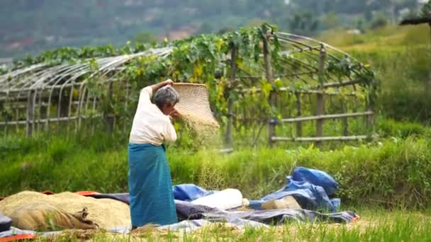 Ναός και θρησκευτικές σημαίες προσευχής στην κοιλάδα, Μπουτάν — Αρχείο Βίντεο