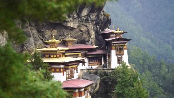 Tiger Nest Paro Taktsangat yaz günü Yukarı Paro Vadisi Himalyas Butan 'da — Stok video