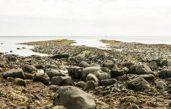 Jurassic coast dorset Storbritannien kimmeridge bay — Stockfoto