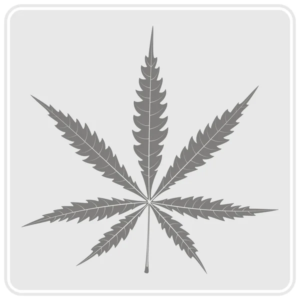 Icono monocromo con licencia de cannabis — Archivo Imágenes Vectoriales