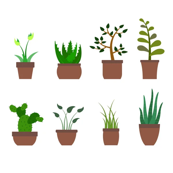 Conjunto de colores con iconos de plantas de casa — Vector de stock