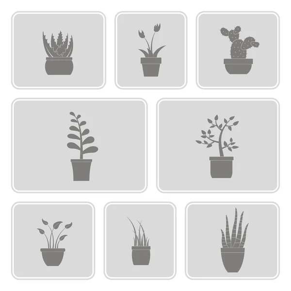 Conjunto monocromo con iconos de plantas de casa — Vector de stock