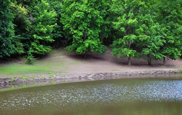 Дерева, відображені в річці для вашого дизайну — стокове фото