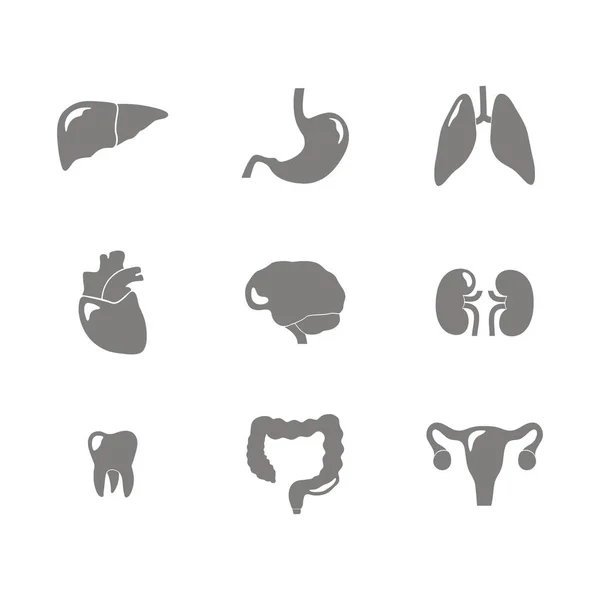 Set of monochrome icons with human internal organs — Stock Vector