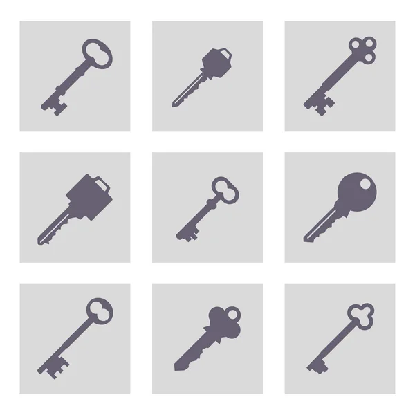 Conjunto de iconos monocromáticos con llaves — Vector de stock