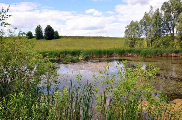 Paysage avec rivière pour votre design — Photo