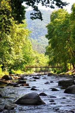dağ nehir üzerinde asma köprü