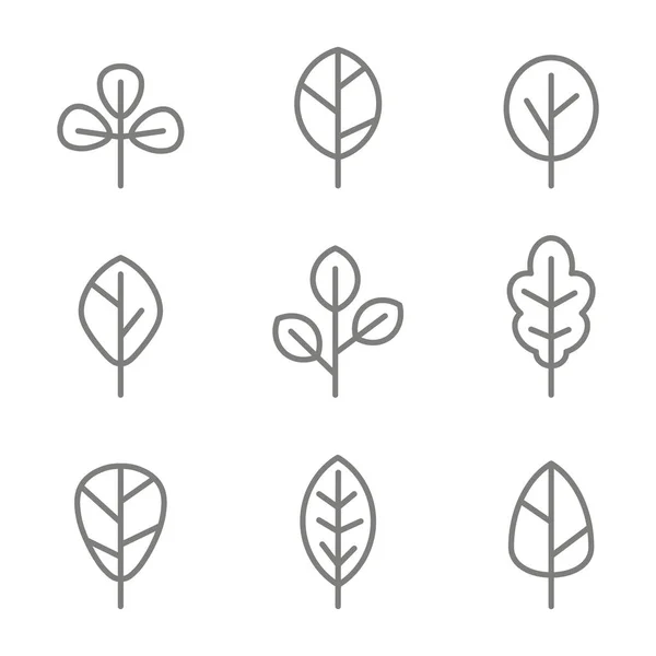 Conjunto Iconos Monocromáticos Con Hojas Vectoriales Para Diseño — Vector de stock