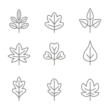 tasarımınız için vektör yapraklarla tek renkli simgeler kümesi