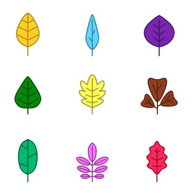 tasarımınız için vektör yapraklarla tek renkli simgeler kümesi
