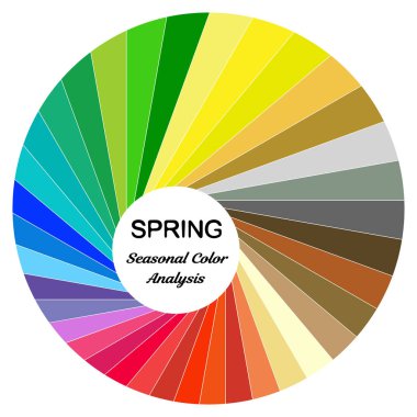 Hisse senedi vektör Renk Kılavuzu. Bahar türü için mevsimlik renk analiz paleti. Kadın görünüm türü