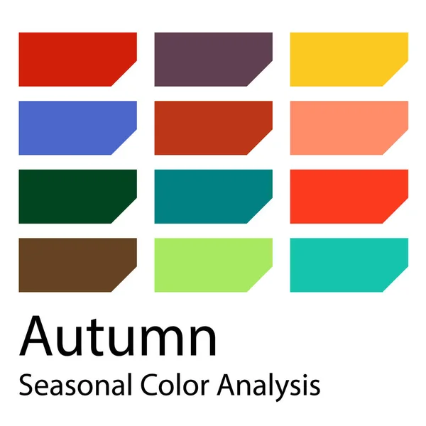 Набор Векторных Цветов Палитра Сезонного Анализа Цвета Осеннего Типа Тип — стоковый вектор