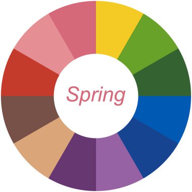 Hisse senedi vektör Renk Kılavuzu. Bahar türü için mevsimlik renk analiz paleti. Kadın görünüm türü