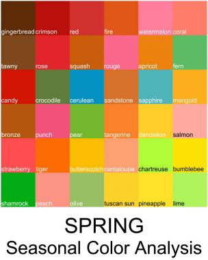 Renk adları ile hisse senedi vektör Renk Kılavuzu. Bahar türü için mevsimlik renk analiz paleti. Kadın görünüm türü