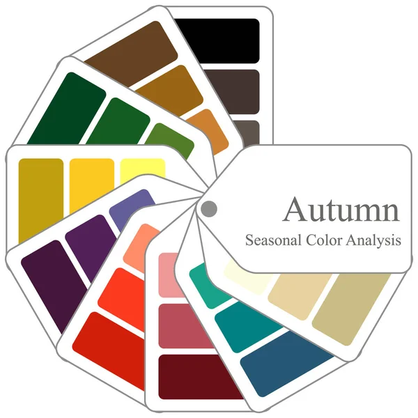 Guía Color Paleta Análisis Color Estacional Para Tipo Otoño — Vector de stock