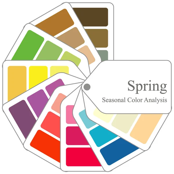 Guía Color Paleta Análisis Color Estacional Para Tipo Resorte — Vector de stock