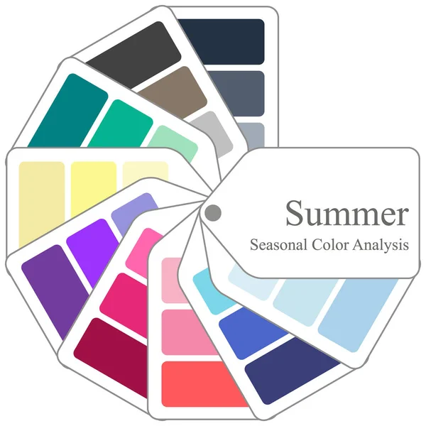 Color Guide Seasonal Color Analysis Palette Summer Type — Stock Vector