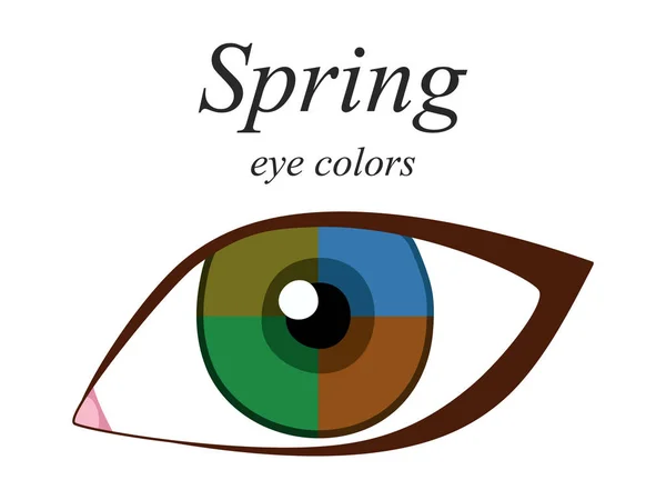 Stock Vector Estacional Paleta Análisis Color Para Tipo Primavera Apariencia — Archivo Imágenes Vectoriales