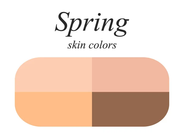 株式ベクトル季節の色解析パレット春タイプの雌の姿 春タイプの肌の色 — ストックベクタ