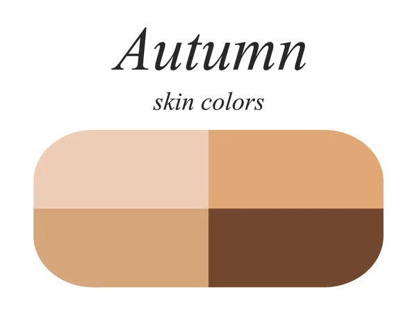 Wektor Sezonowe Kolor Palety Analizy Dla Typu Jesień Kobiece Kobieta — Wektor stockowy