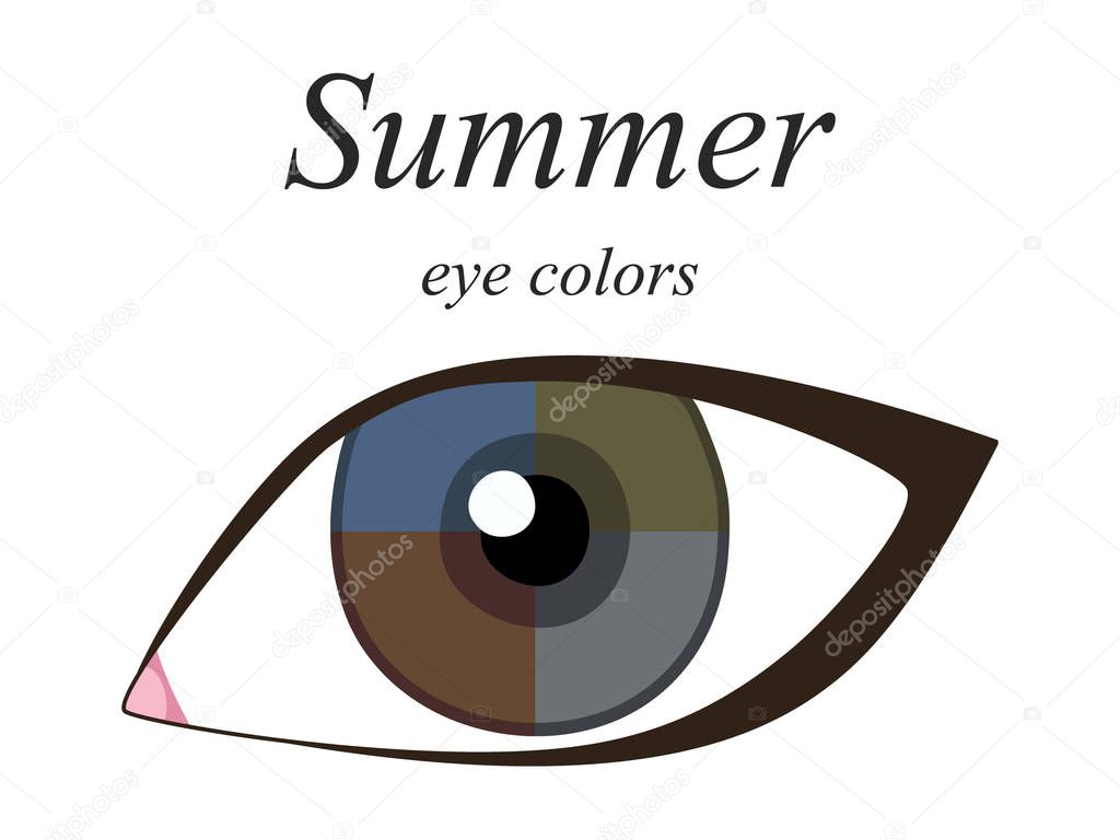 Stock vector seasonal color analysis palette for summer type of female appearance. Eye colors for summer type. 