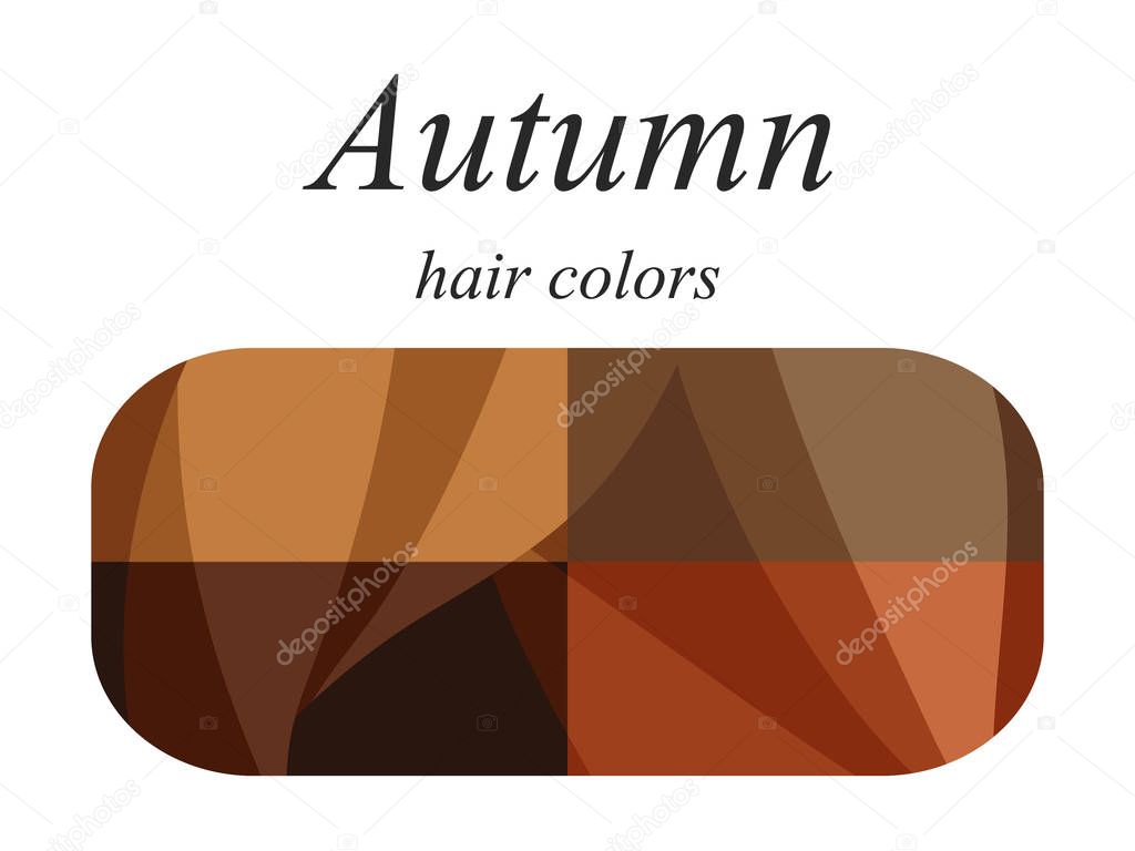 Stock vector seasonal color analysis palette for autumn type of female appearance. Hair colors for autumn type. 