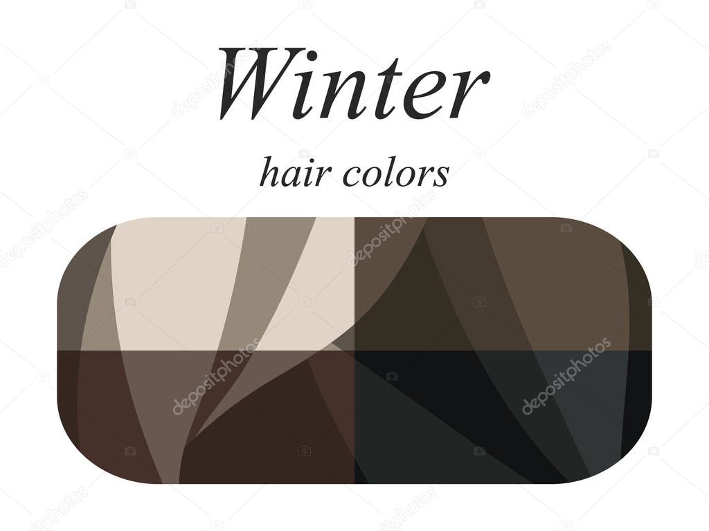 Stock vector seasonal color analysis palette for winter type of female appearance. Hair colors for winter type. 