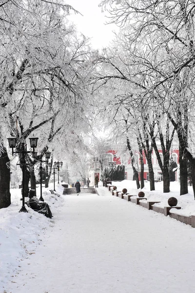 Prachtige Bomen Bedekt Met Sneeuw Winterpark Voor Ontwerp — Stockfoto