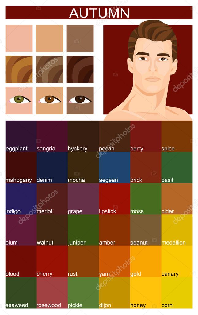 Stock vector color guide with color names. Eyes, skin, hair color. Seasonal color analysis palette for autumn type of male appearance. Face of young man