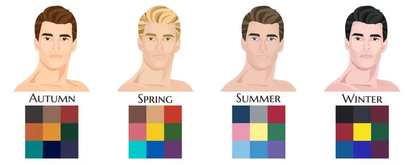 Mevsimsel Renk Analizi Bir Grup Vektör Farklı Türde Erkek Görünümüne — Stok Vektör