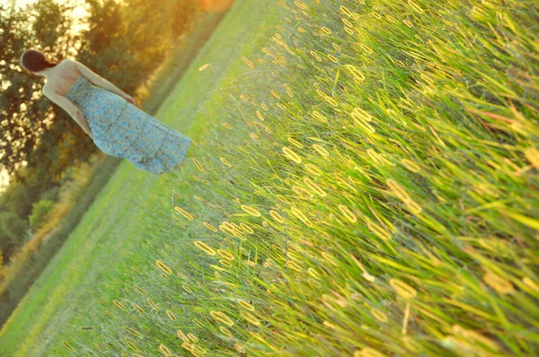 Chica Caminando Por Campo Vestido Largo Antes Del Atardecer —  Fotos de Stock