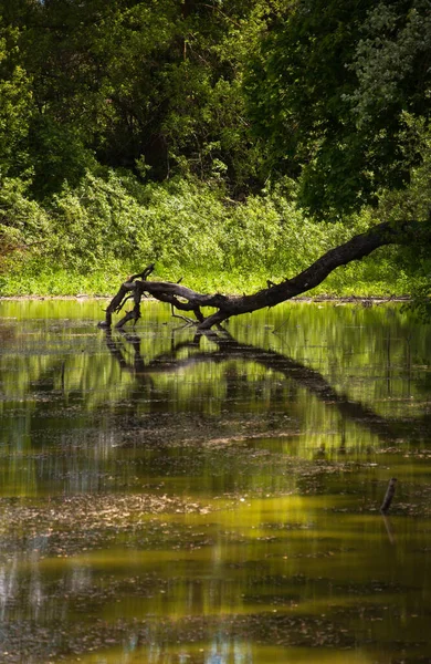 Paesaggio Con Fiume Vostro Disegno — Foto Stock