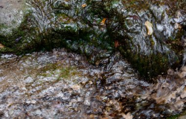 Tasarımın için su yüzeyinin altında taşlar ve yosunlar var.