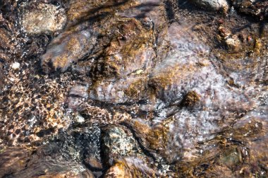 Tasarımın için su yüzeyinin altında taşlar ve yosunlar var.