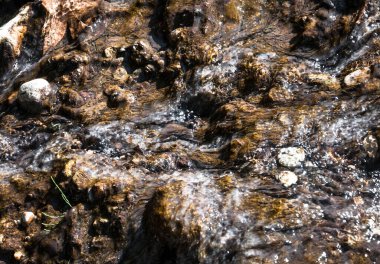 Tasarımın için su yüzeyinin altında taşlar ve yosunlar var.