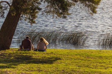 Park gölünün kıyısında oturan çift. Yeşil çimen ve bir ağaç.