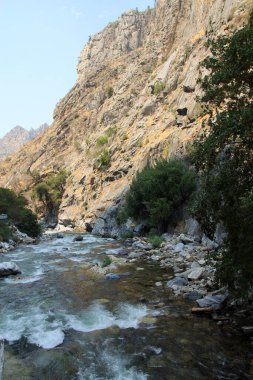Kaliforniya 'daki King River, ABD