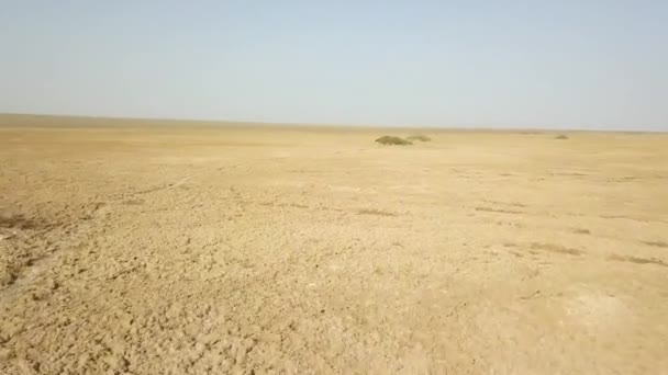 マランジョブ砂漠のパノラマのトップビュー 無人機が砂と砂丘の上を飛ぶ 砂の上に見える塩 ホイールマークとラクダの痕跡 — ストック動画