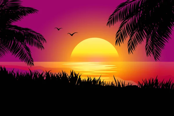 Playa Atardecer Fondo Con Palmera — Vector de stock