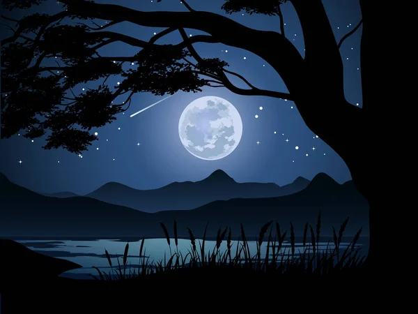 Moon Big Trees Starry Night — 스톡 벡터