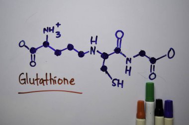 Glutathione. Bitkilerde ve hayvanlarda önemli olan moleküller beyaz tahtaya yazılır. Yapısal kimyasal formül. Eğitim kavramı