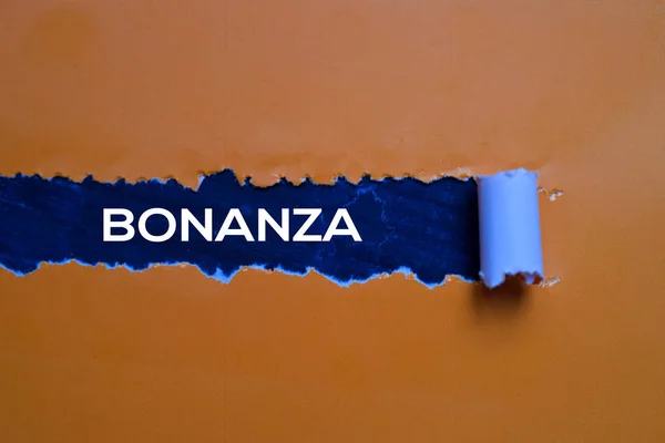 用撕破的纸写的Bonanza文字 — 图库照片