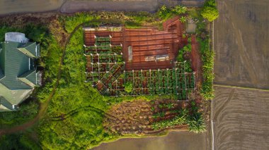 Güzel yeşil ağaç ormanının ortasında dümdüz bir yol boyunca. Bekasi şehrinde, güneşli bir yaz gününde, Endonezya 'da.