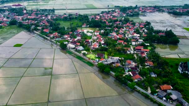 Widok Lotu Ptaka Wiejskie Domy Pola Otoczone Zielonymi Drzewami Polami — Wideo stockowe