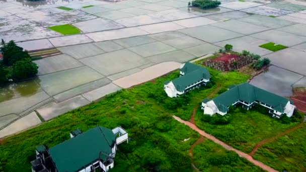 Vue Aérienne Les Maisons Campagne Les Champs Entourés Arbres Verts — Video