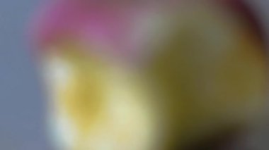 Yavaş çekim kırmızı elma, beyaz arkaplanda bir ısırık yok.