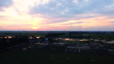 Hava Manzarası - Bekasi, Endonezya kırsalındaki günbatımı ve pirinç tarlaları Gün batımında bir tarlada güzel bitkiler. 2.7K çözünürlük videosu