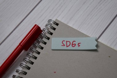 SDG 'ler ofis masasındaki izole bir kitaba yazarlar