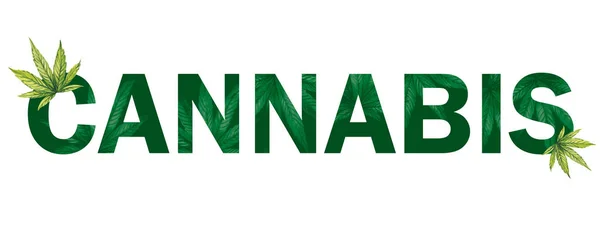 Das Wort Cannabis auf weißem Hintergrund. Banner mit Textur und Cannabisblättern. — Stockfoto
